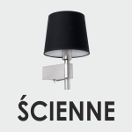 SCIENNE 1